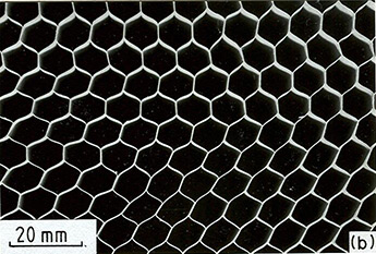 Cellular Solids Fig. 2.3b