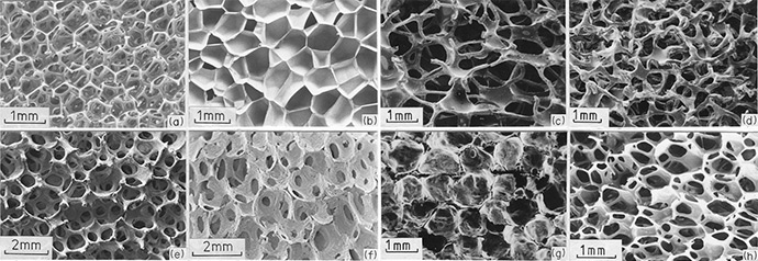 Cellular Solids Fig. 2.5